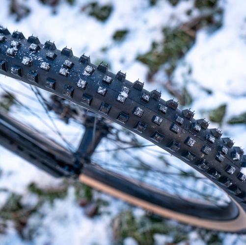 Singletracks Reviews The Porcupine RC